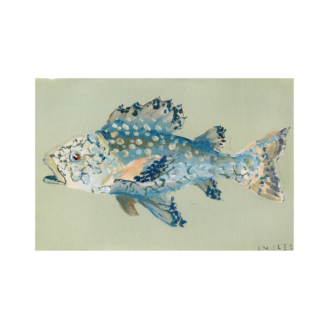 inslee fariss indigo fish print watercolor art