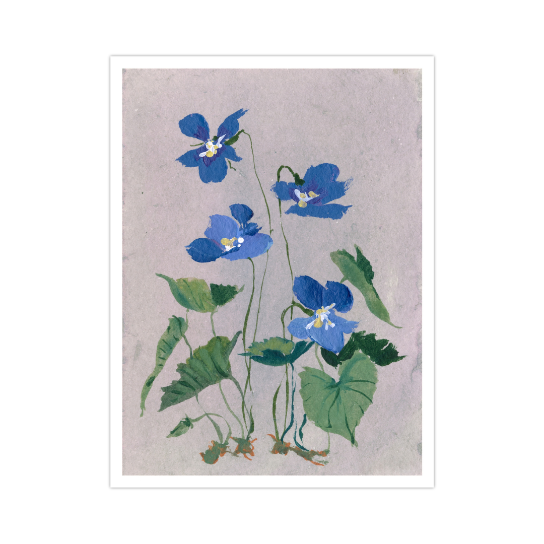 February's Primrose No. 2