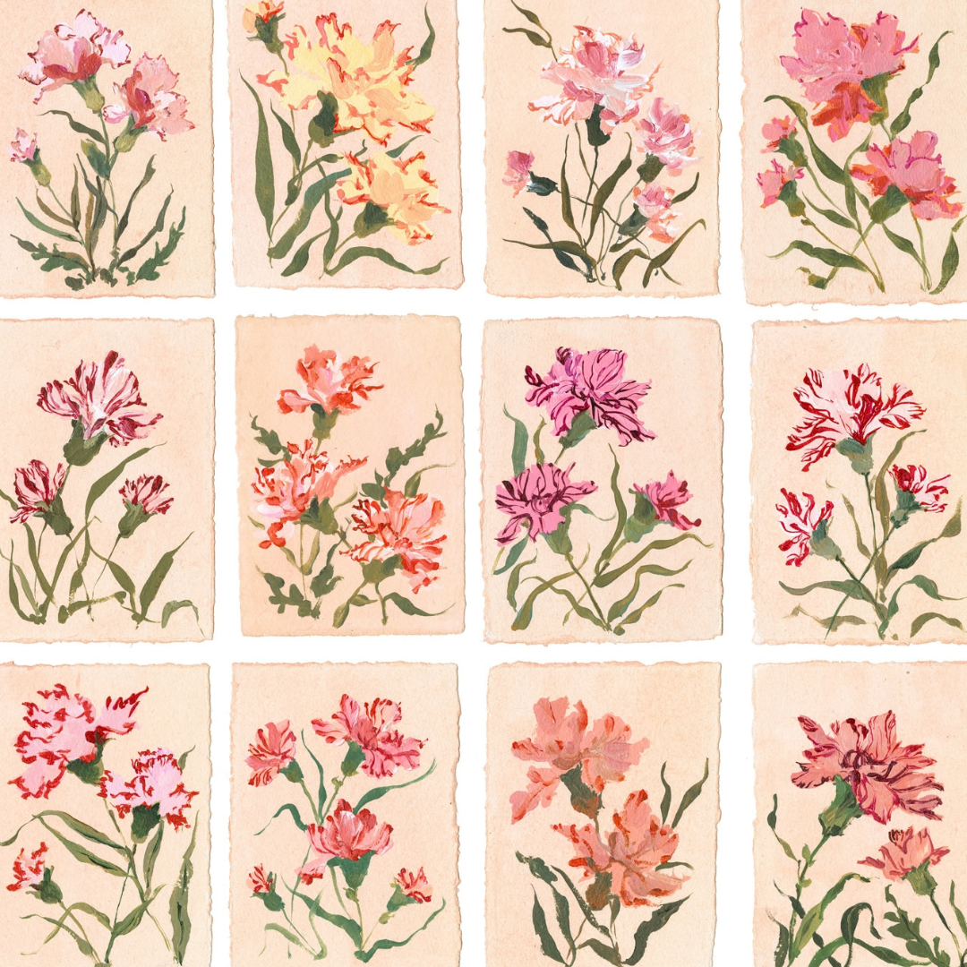 January's Carnation: Series of 16