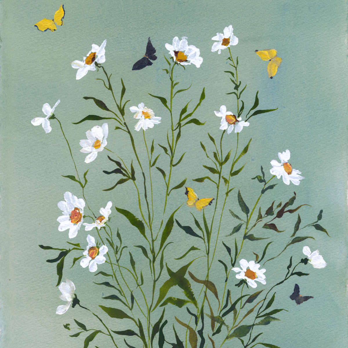 inslee watercolor floral butterfly print