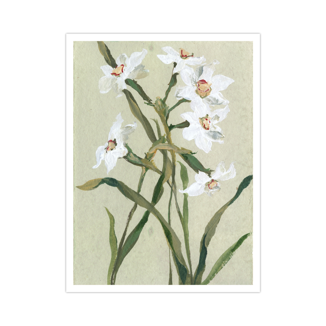 December's Narcissus