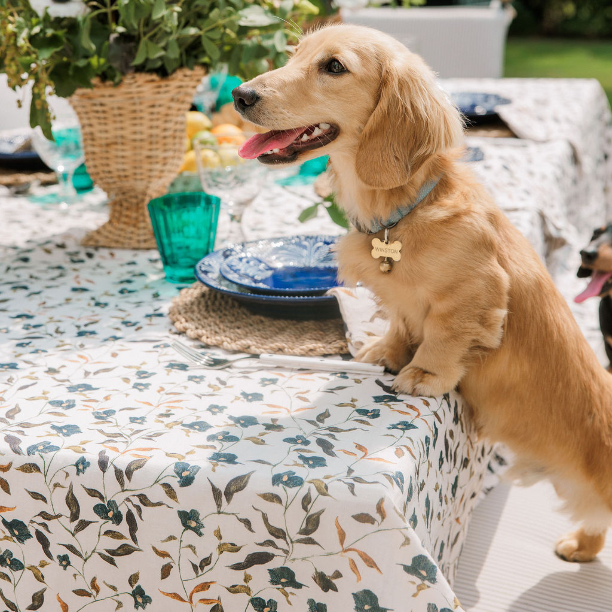 Inslee x Sweetgrass: Ditsy Square Tablecloth