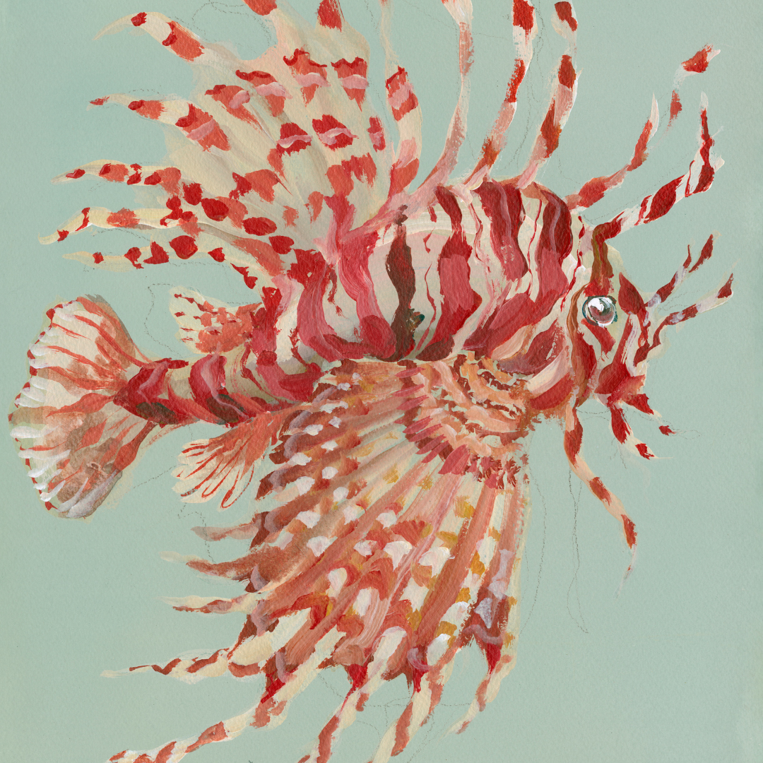 Inslee fariss lion fish watercolor painting print