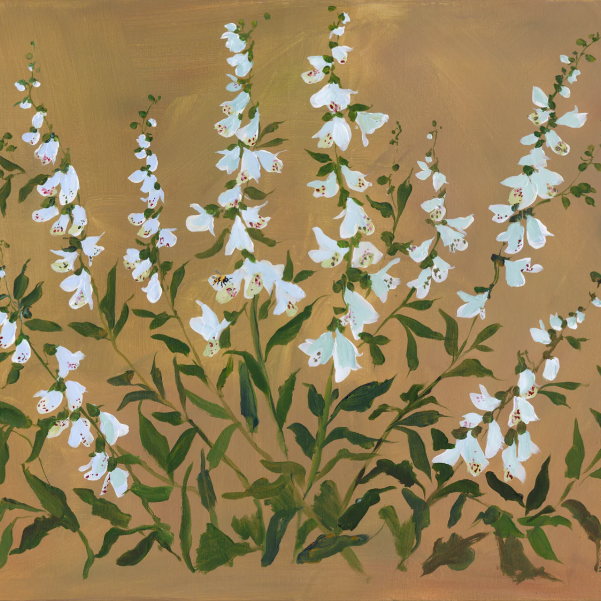 Terra Print: Foxglove
