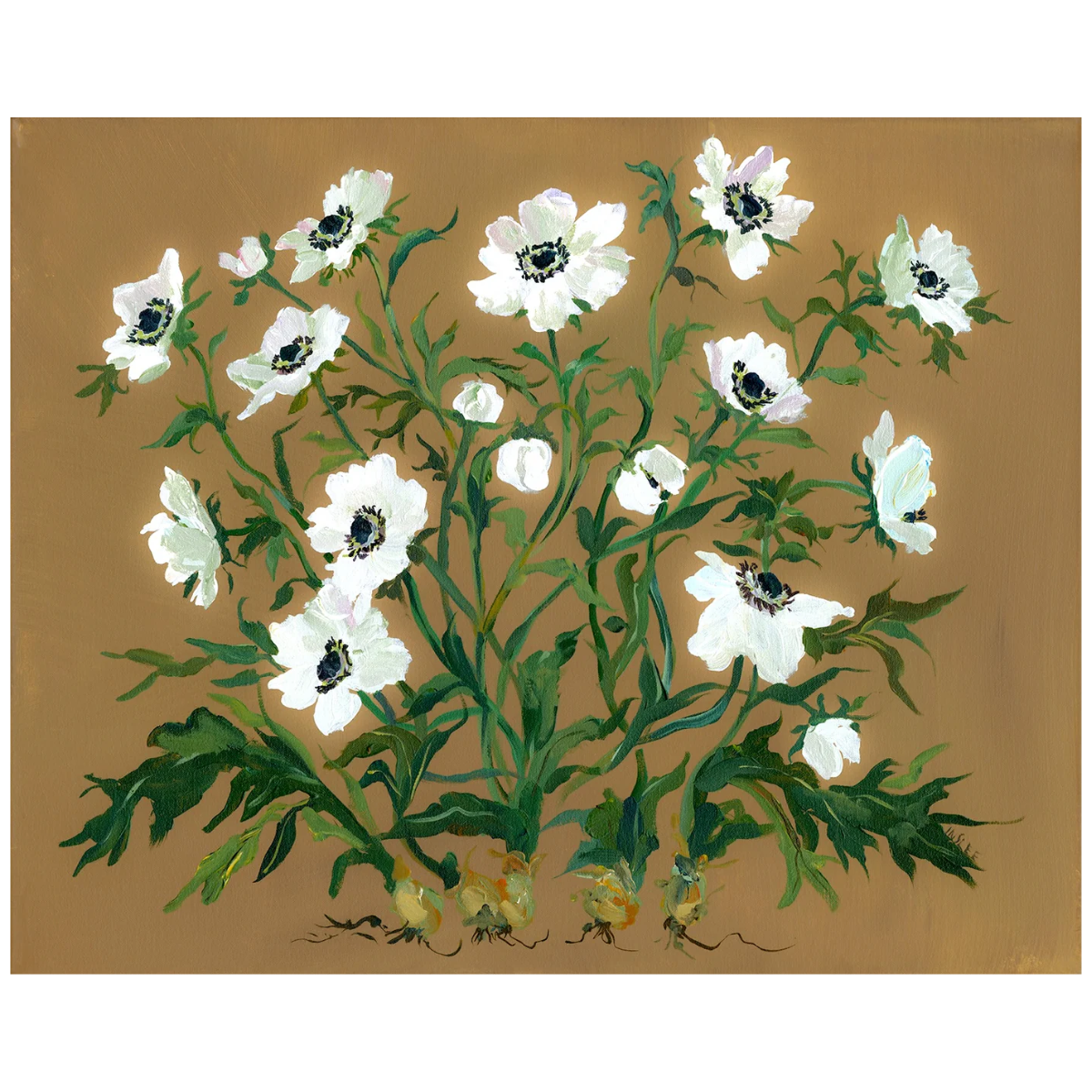 Terra Print: Anemone