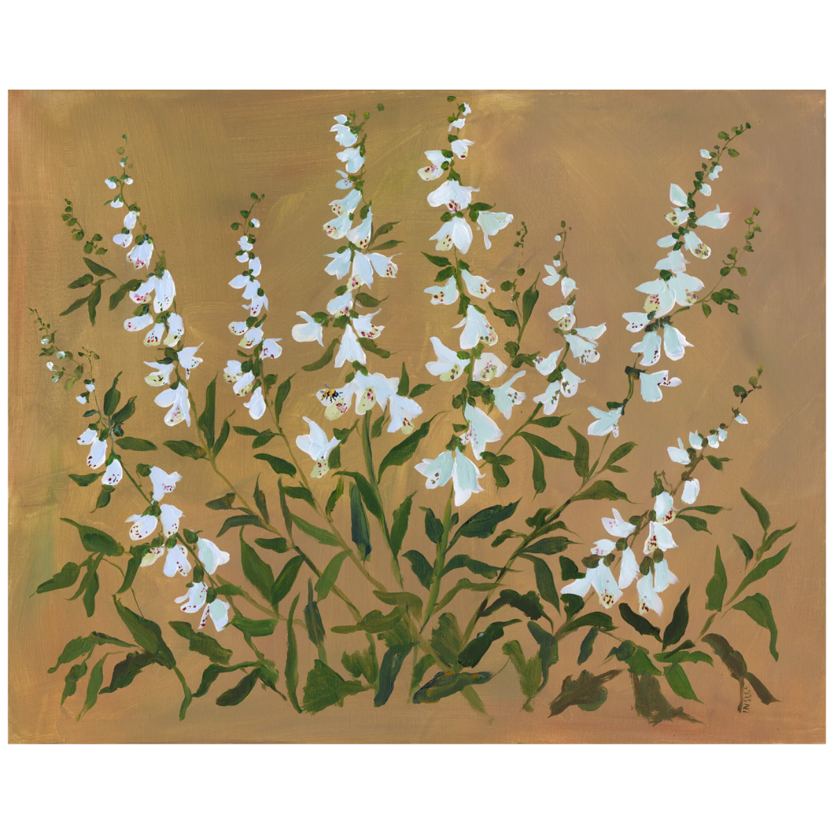 Terra Print: Foxglove
