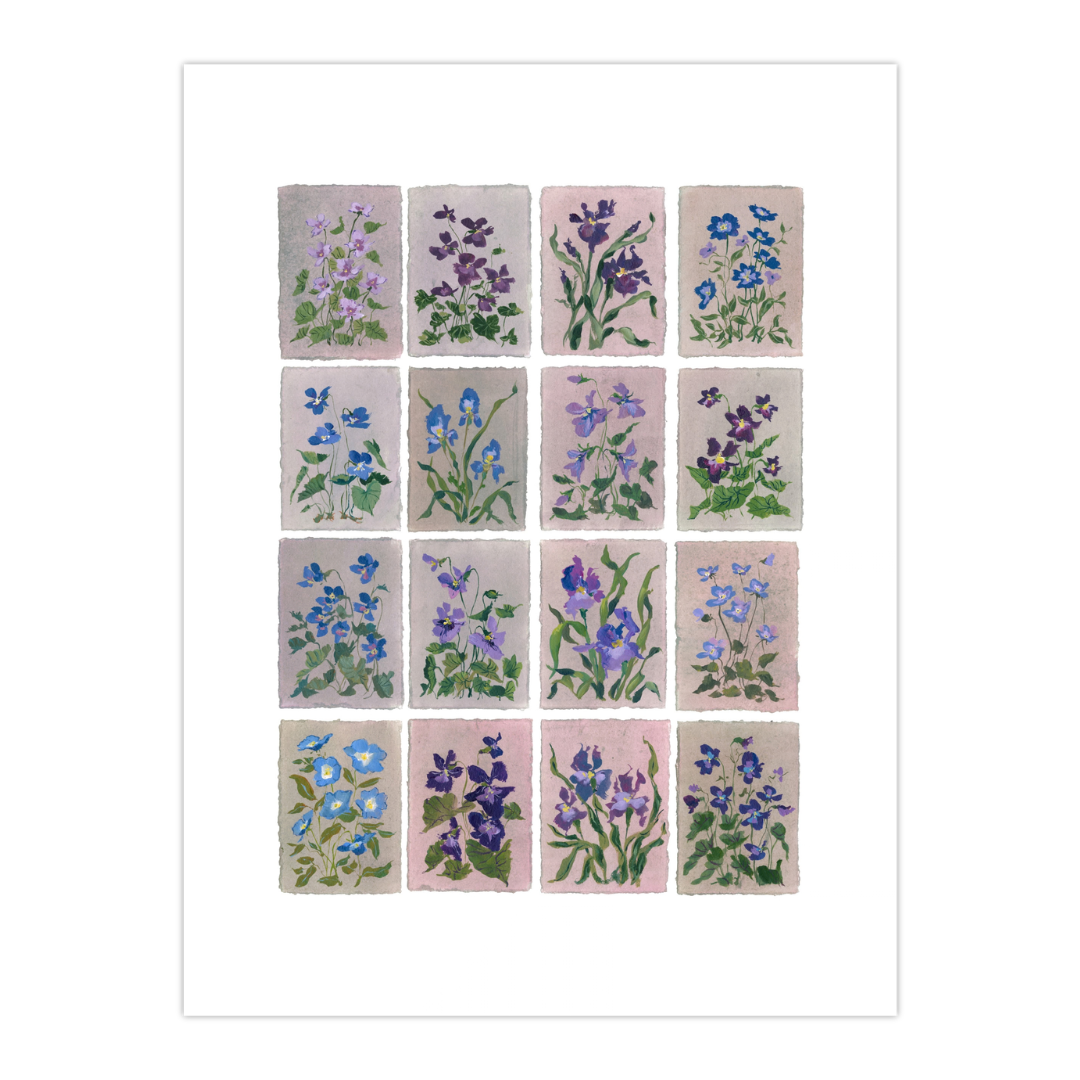 February's Primrose: Series of 16