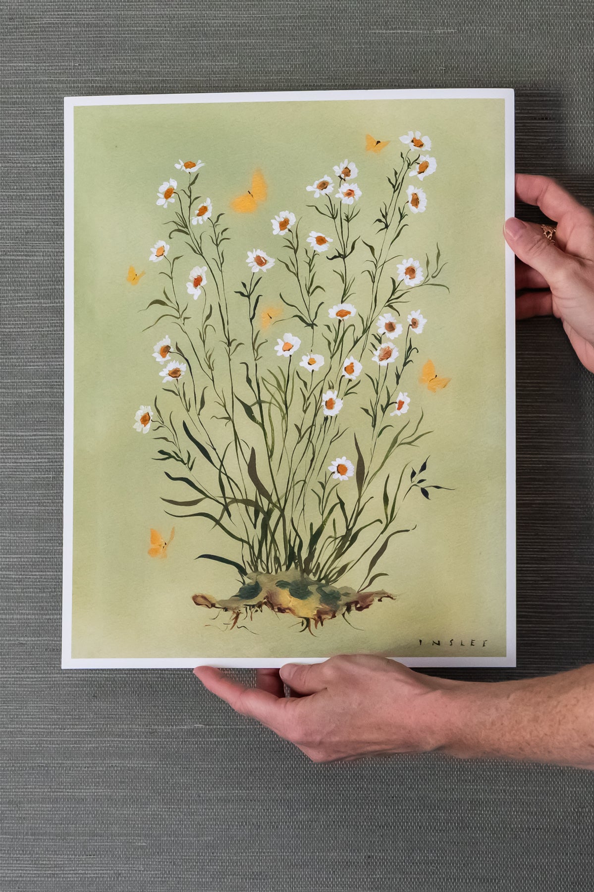 Botanical Print: Chamomile on Olive