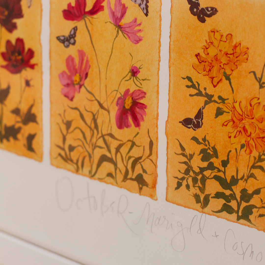 October's Marigold & Cosmo: Series of 16