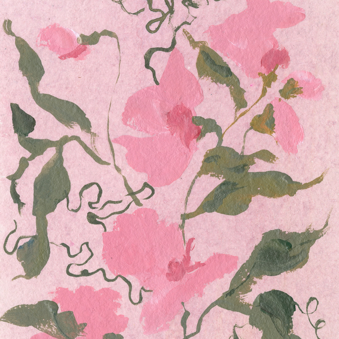 April's Sweet Pea No. 1