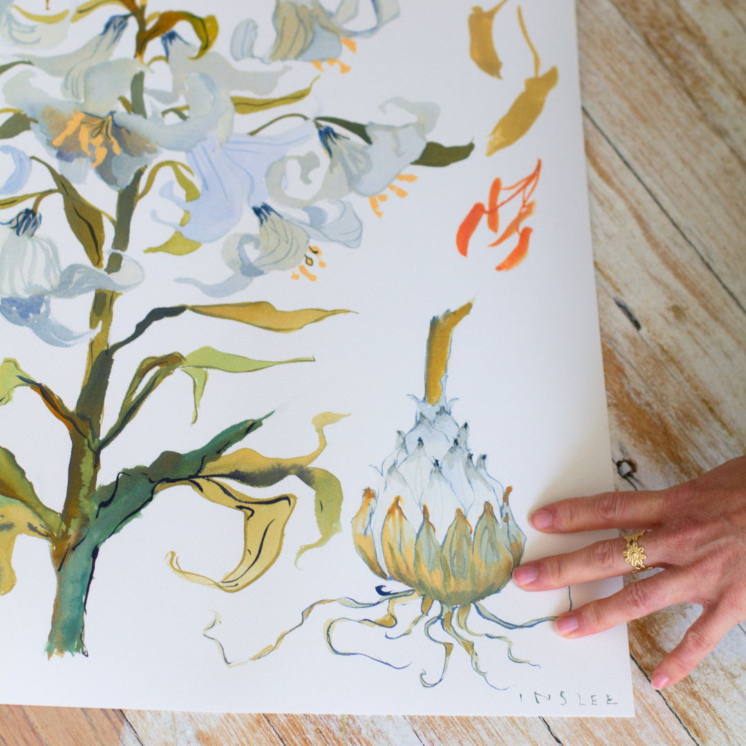 Paris Apartment Series: Lily