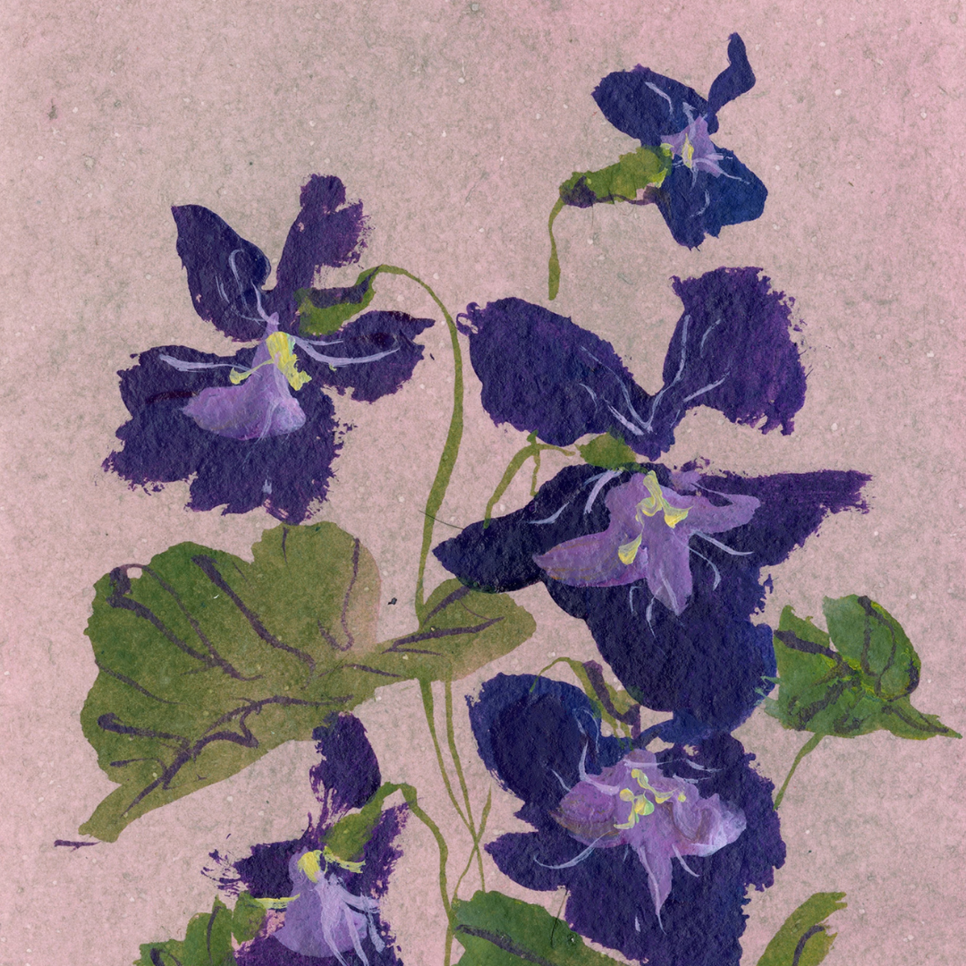 February's Primrose No. 1