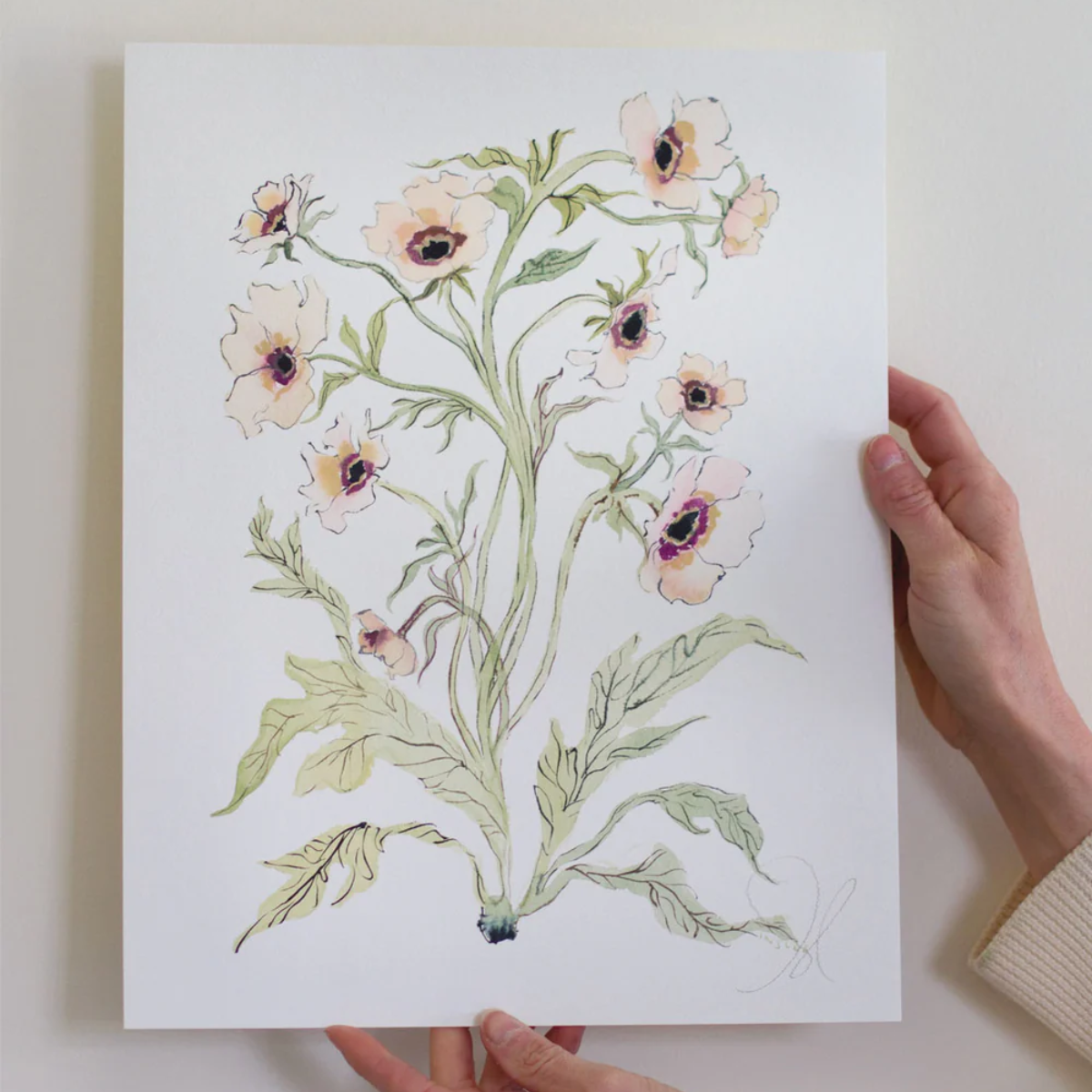 Botanical Print: Slipper & Sage