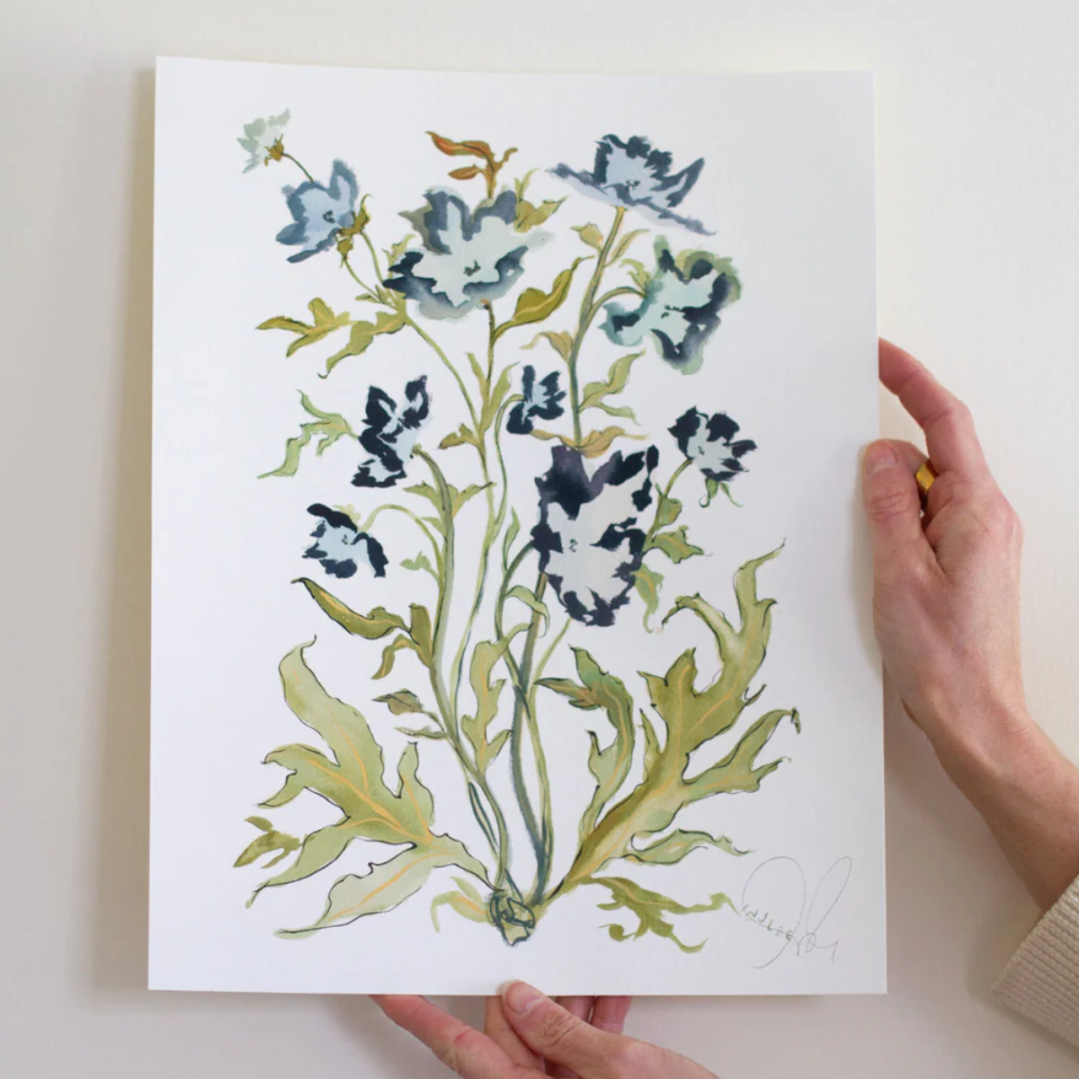 Botanical Print: Prussian Poppies