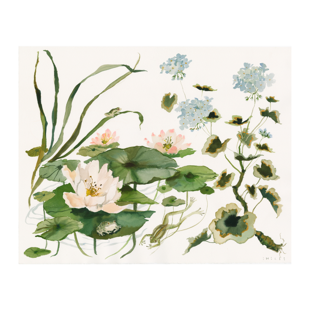Paris Apartment Series: Water Lily and Geranium inslee fariss watercolor