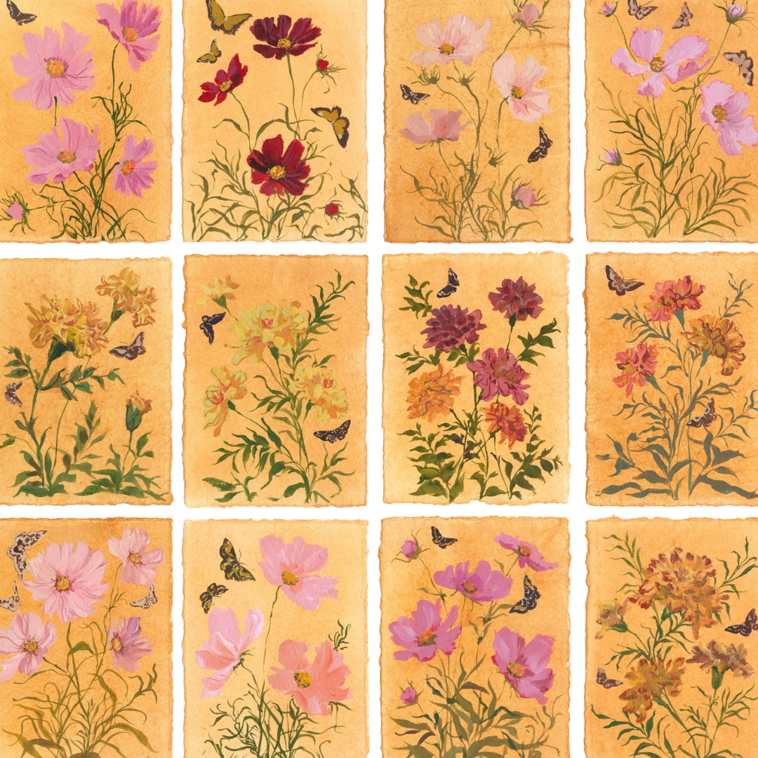 October's Marigold & Cosmo: Series of 16