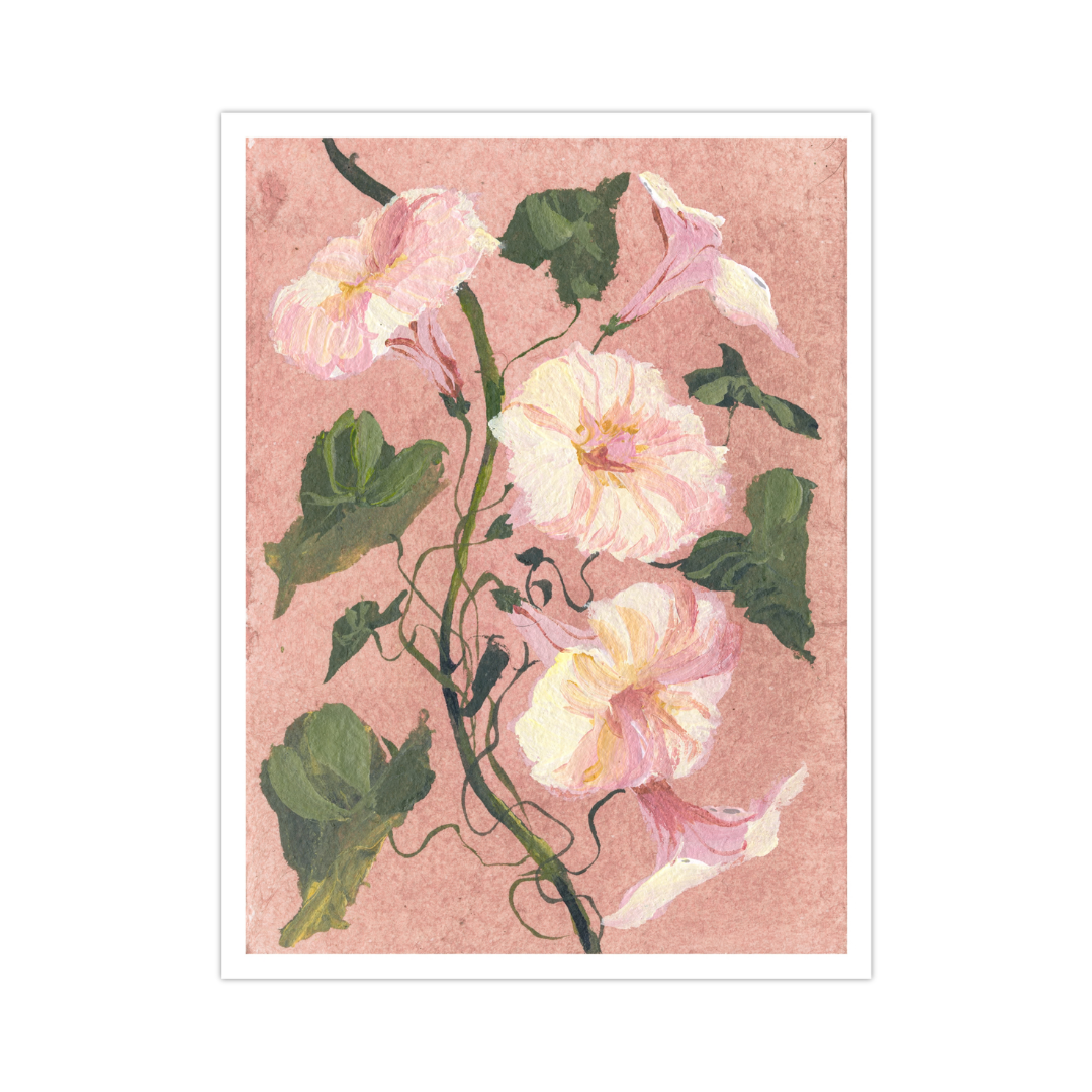 September's Morning Glory No. 2