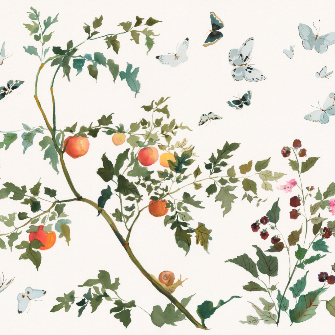 Paris Apartment Series: Clementine and Wild Berry Blossom