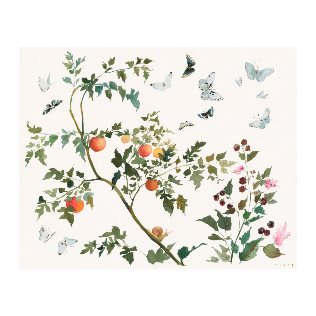 Paris Apartment Series: Clementine and Wild Berry Blossom