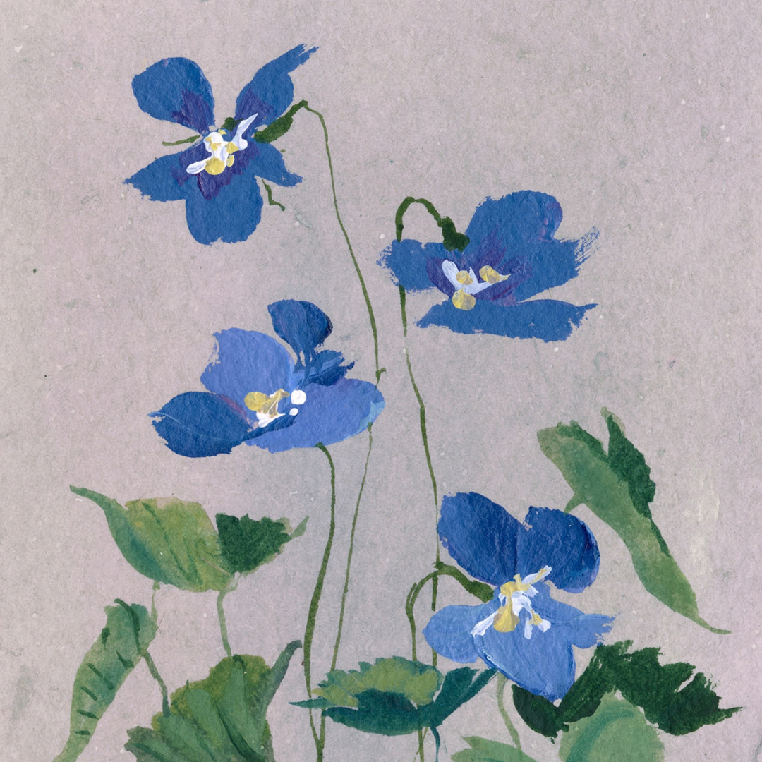 February's Primrose No. 2