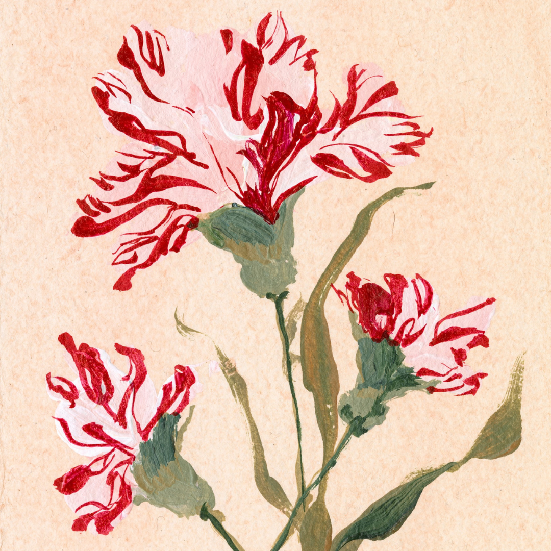 January's Carnation No. 2