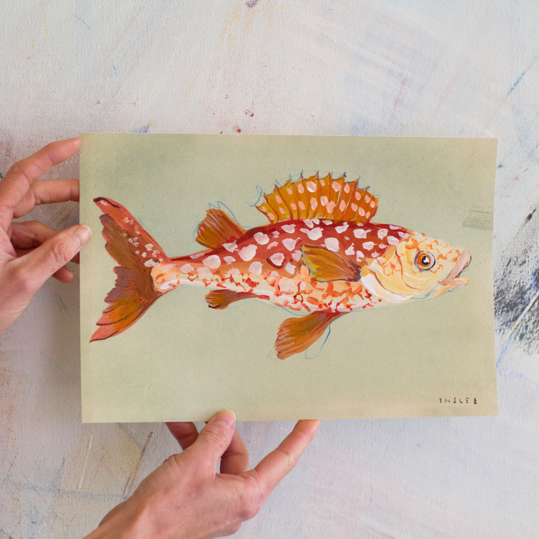 Tangerine Fish