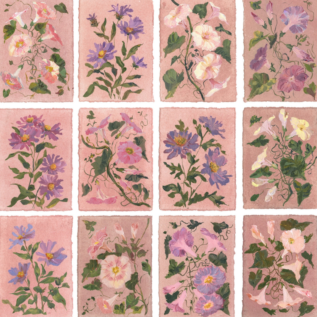 September's Morning Glory: Series of 16