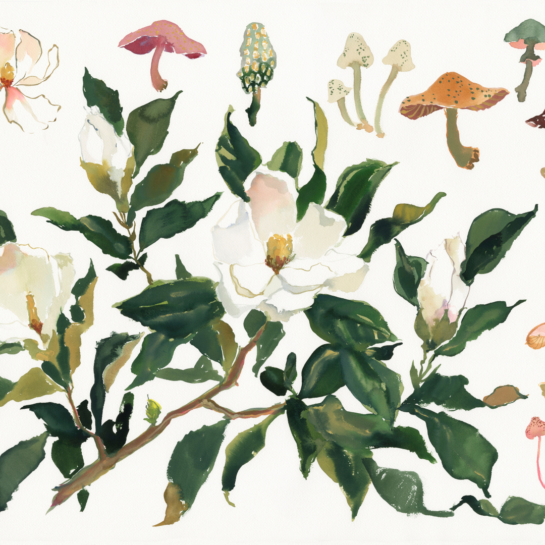 Paris Apartment Series: Magnolia and Mushroom inslee fariss watercolor