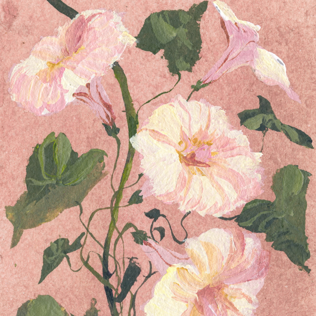 September's Morning Glory No. 2