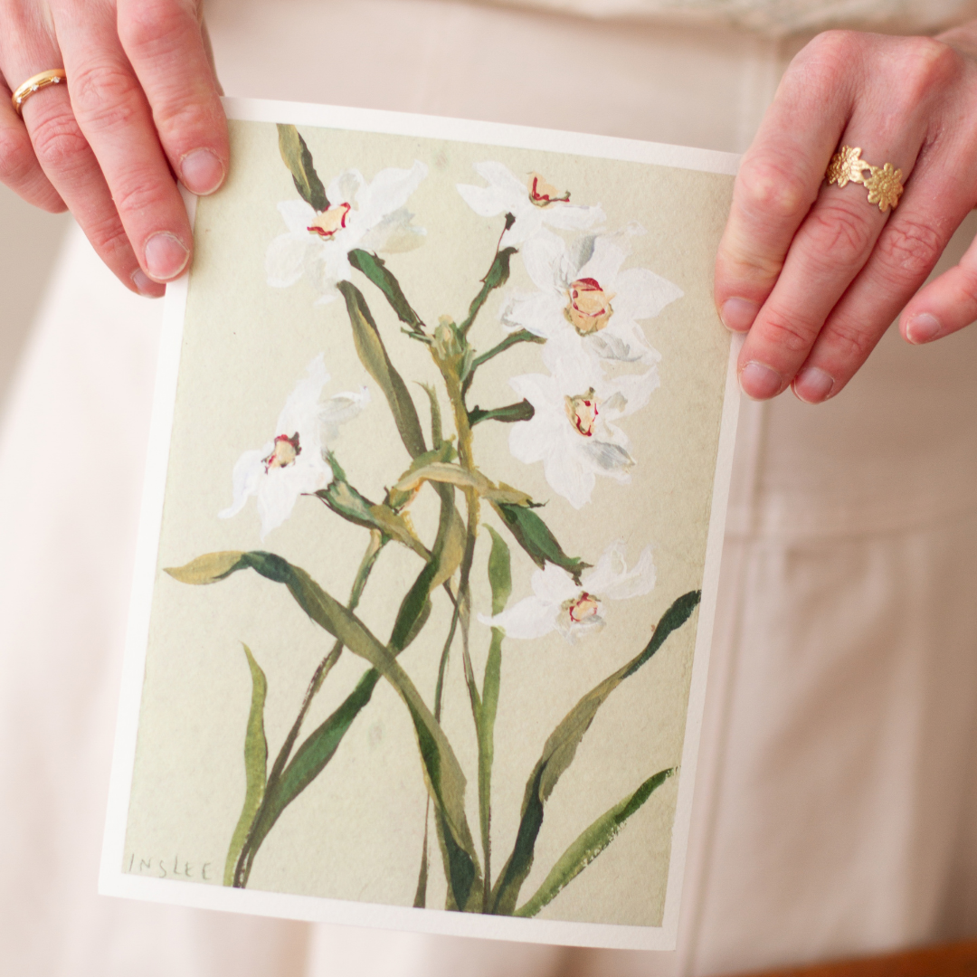 December's Narcissus