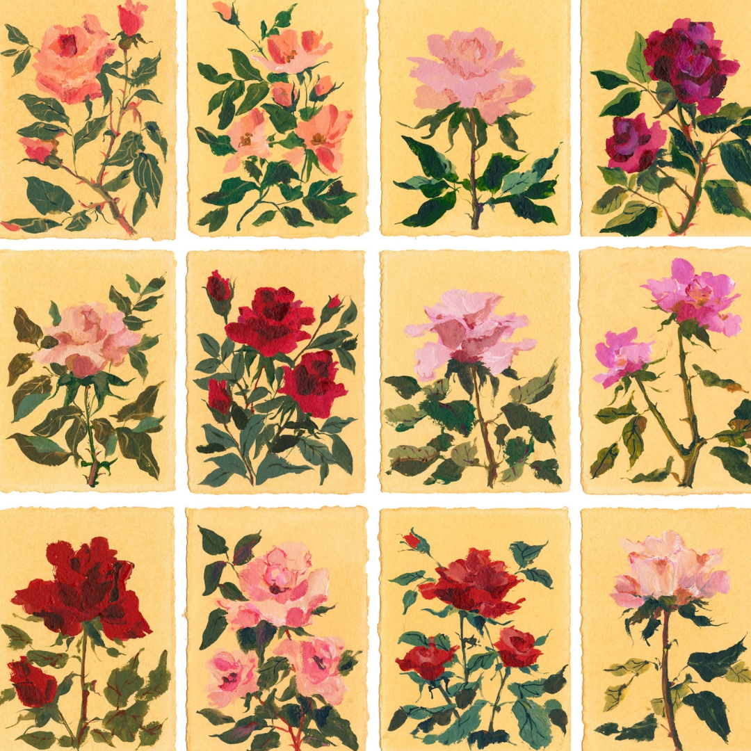 June's Rose: Series of 16