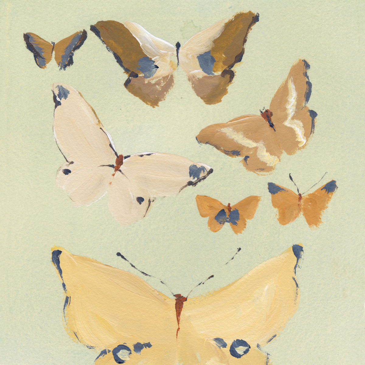 inslee watercolor butterfly print
