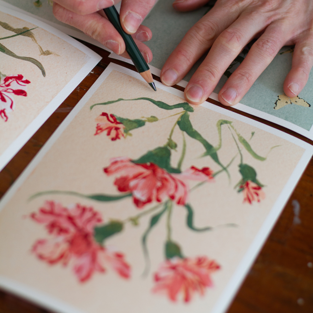 January's Carnation No. 1