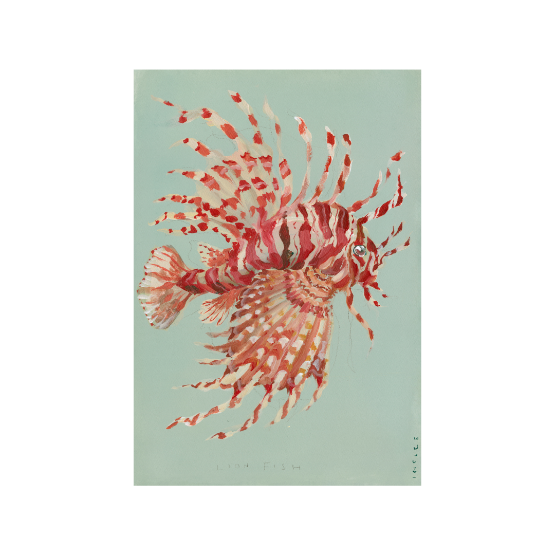 Inslee fariss lion fish watercolor painting print