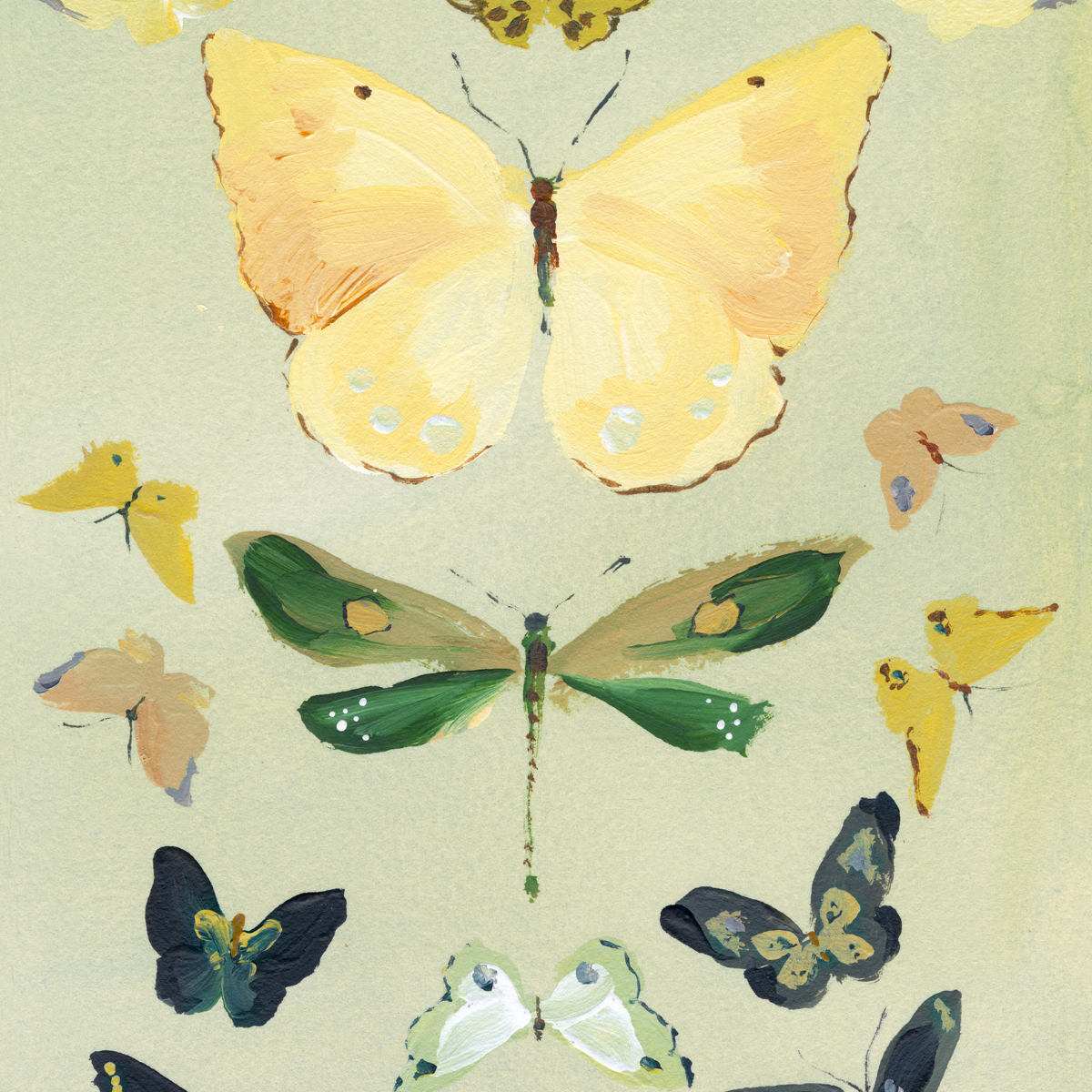 inslee watercolor butterfly print