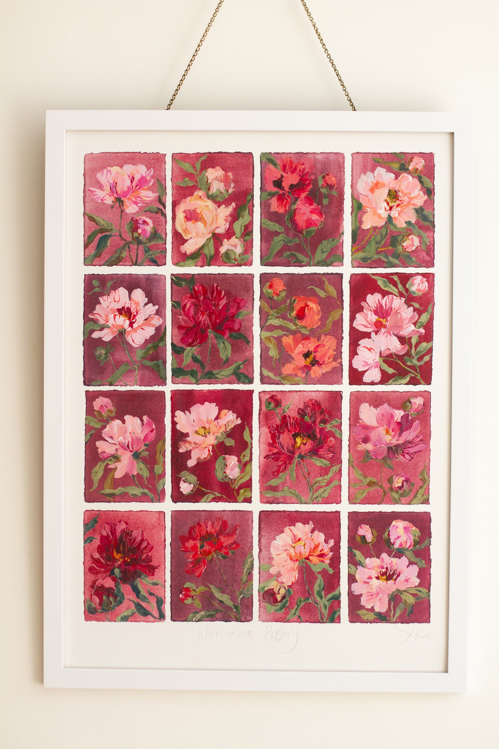 November's Peony: Series of 16