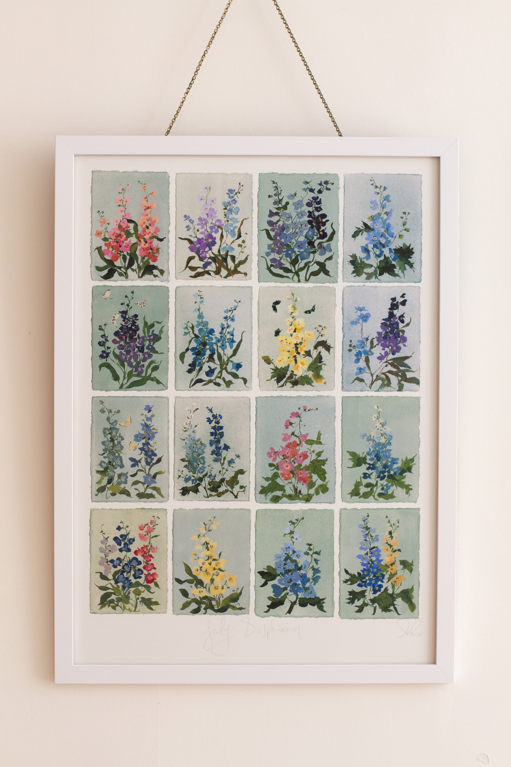 July's Delphinium: Series of 16