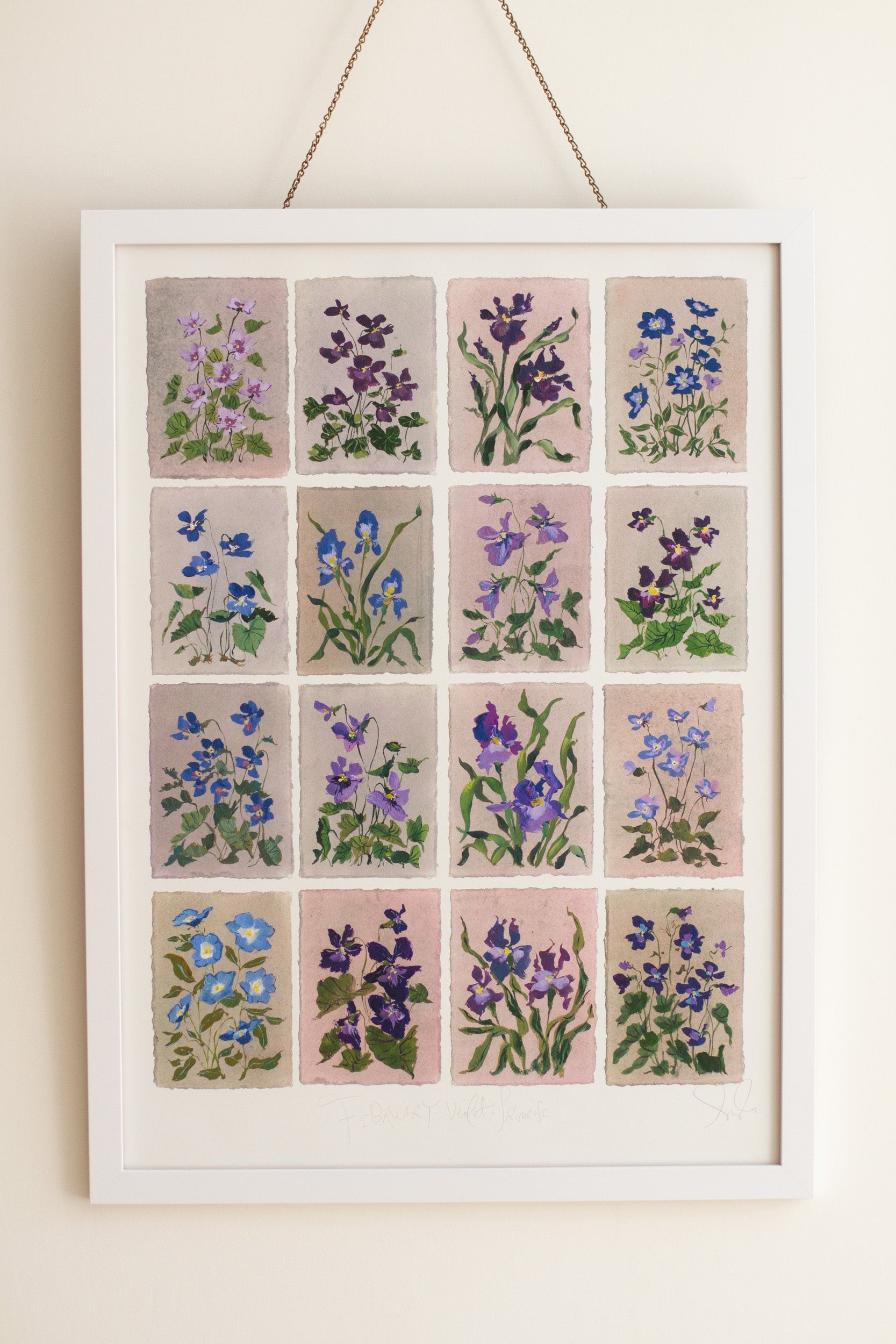 February's Primrose: Series of 16