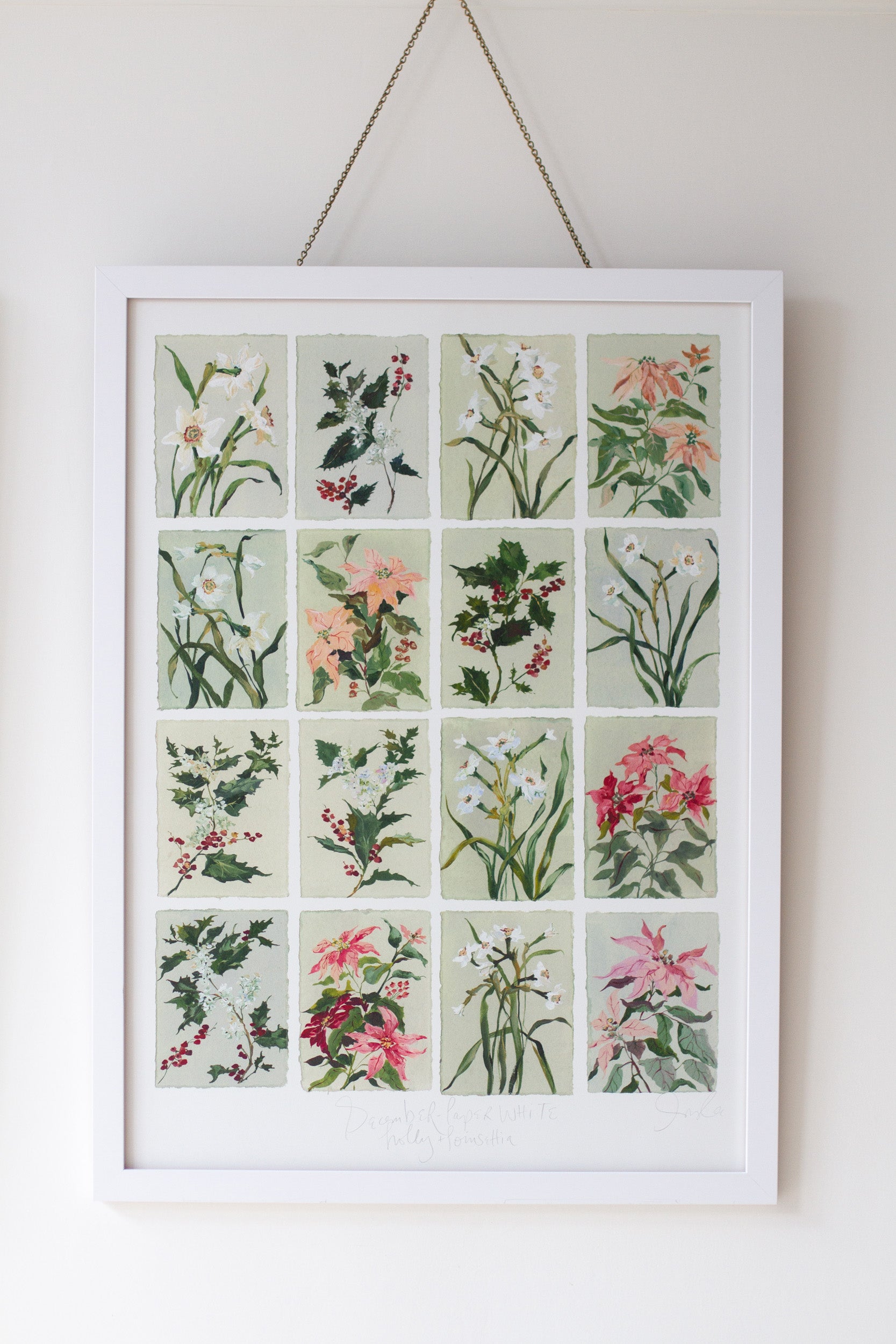 December's Holly & Narcissus: Series of 16