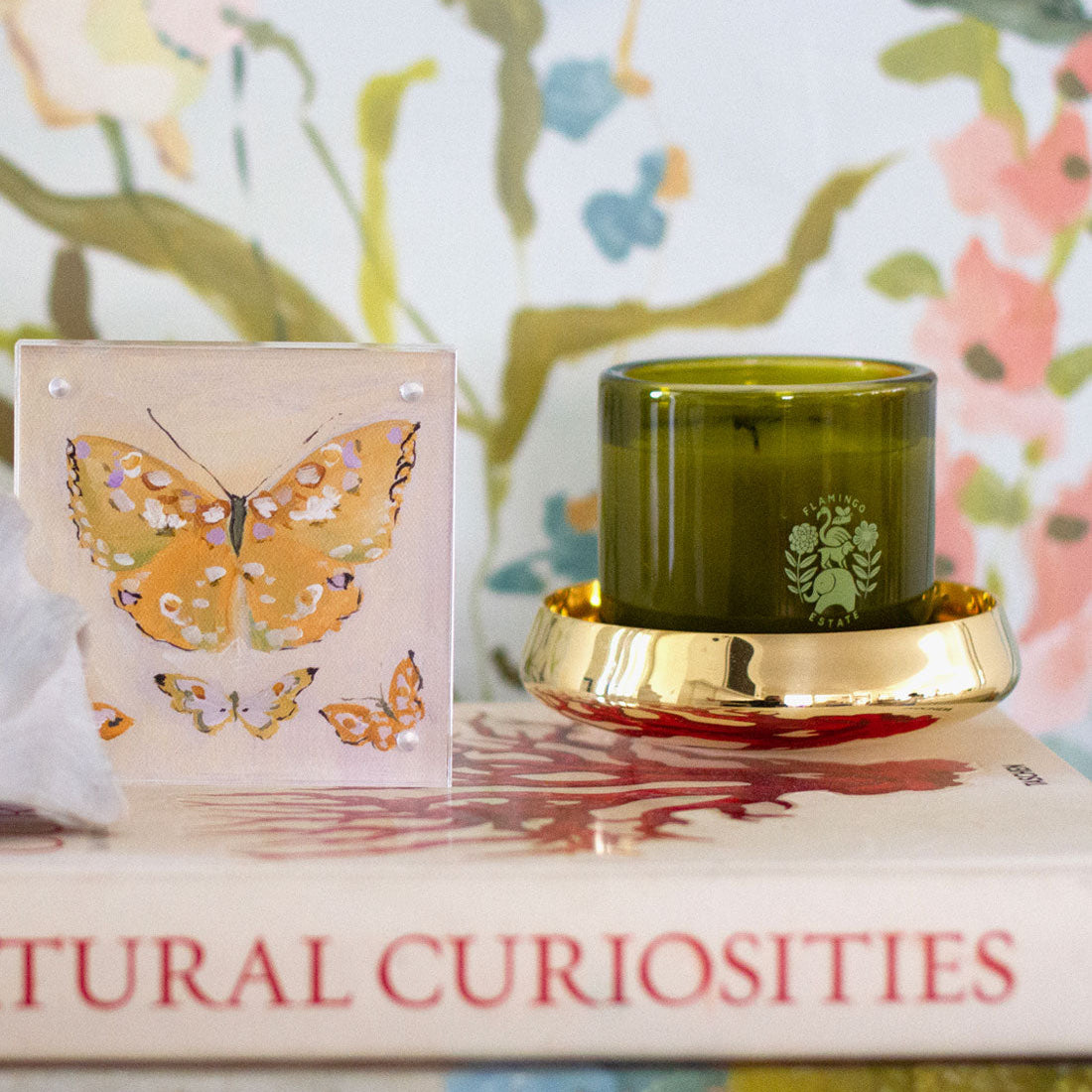 Aurora Butterfly Block