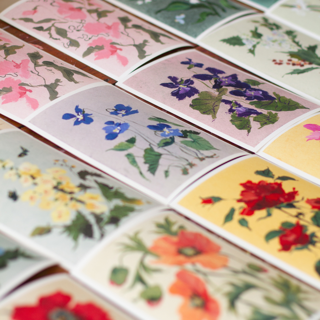 February's Primrose No. 2