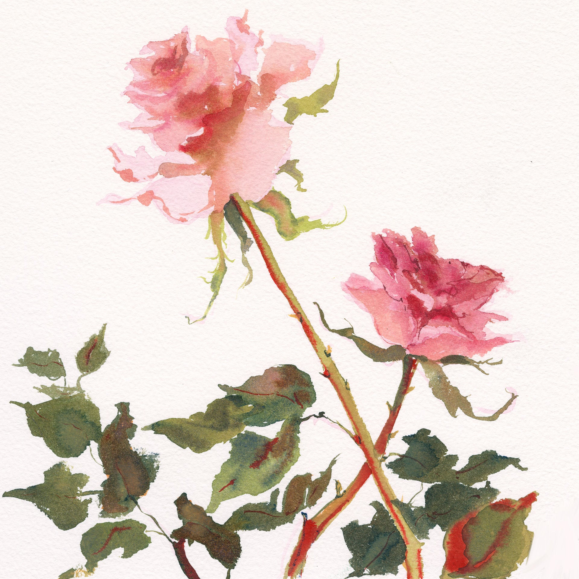 Rose Block No. 2