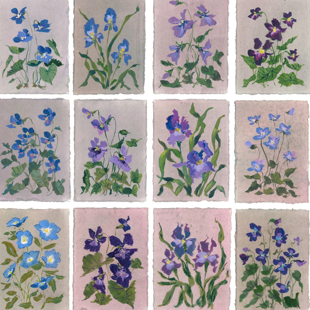 February's Primrose: Series of 16