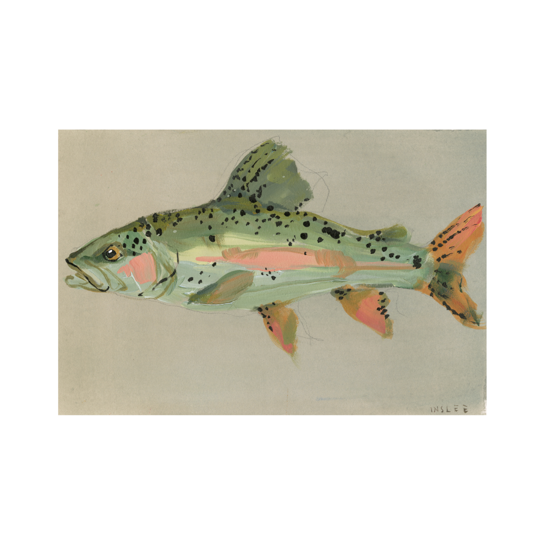 inslee fariss speckled fish print watercolor art