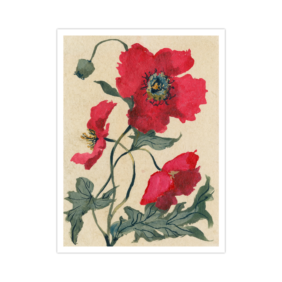 August's Poppy No. 2