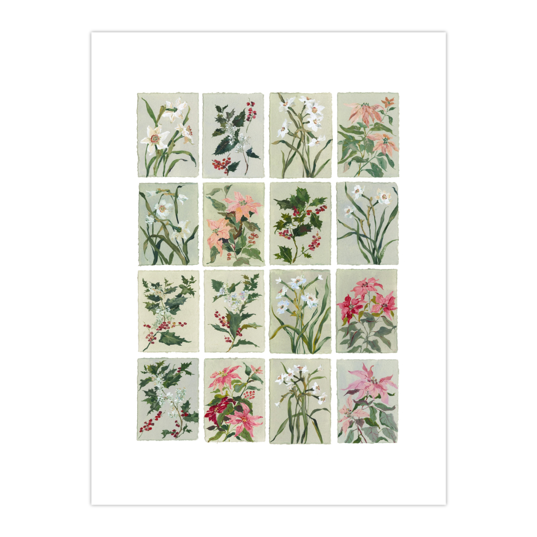 December's Holly & Narcissus: Series of 16