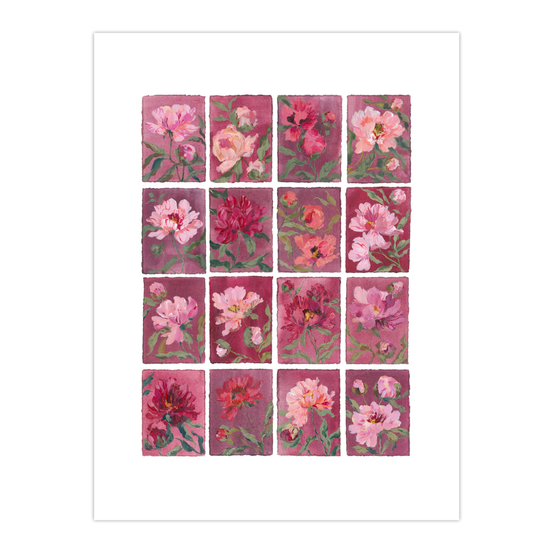 November's Peony: Series of 16