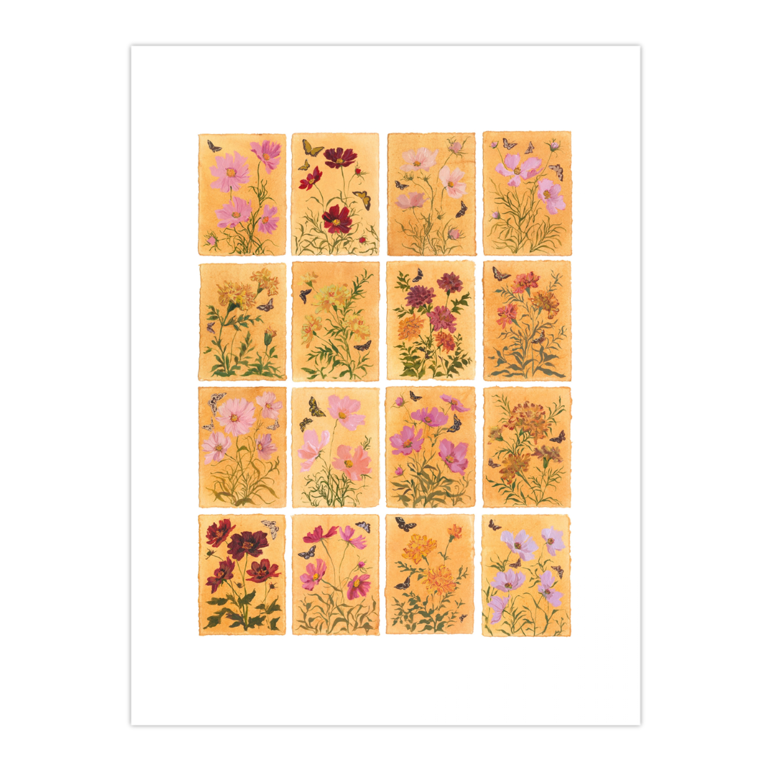 October's Marigold & Cosmo: Series of 16