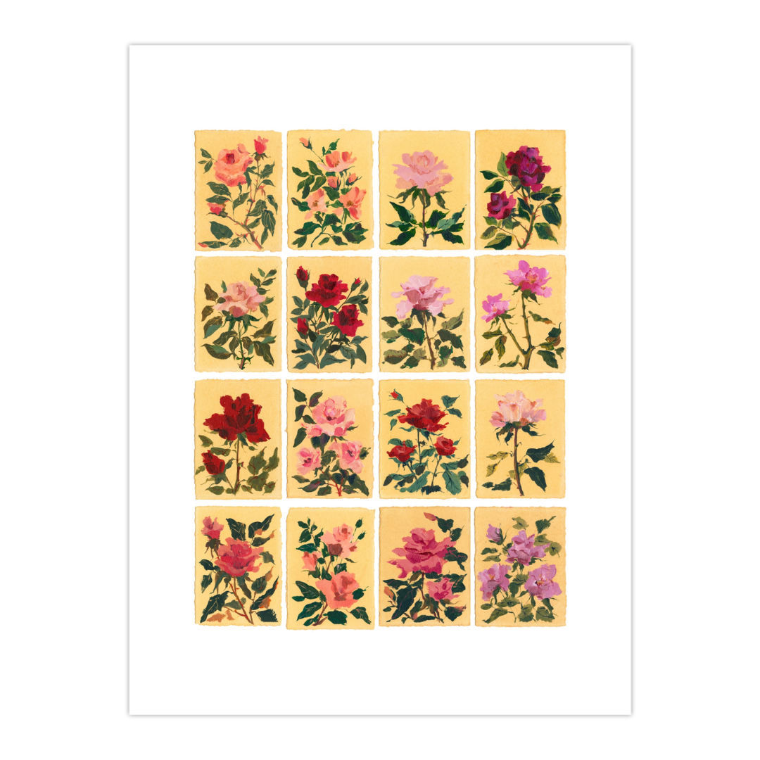 June's Rose: Series of 16