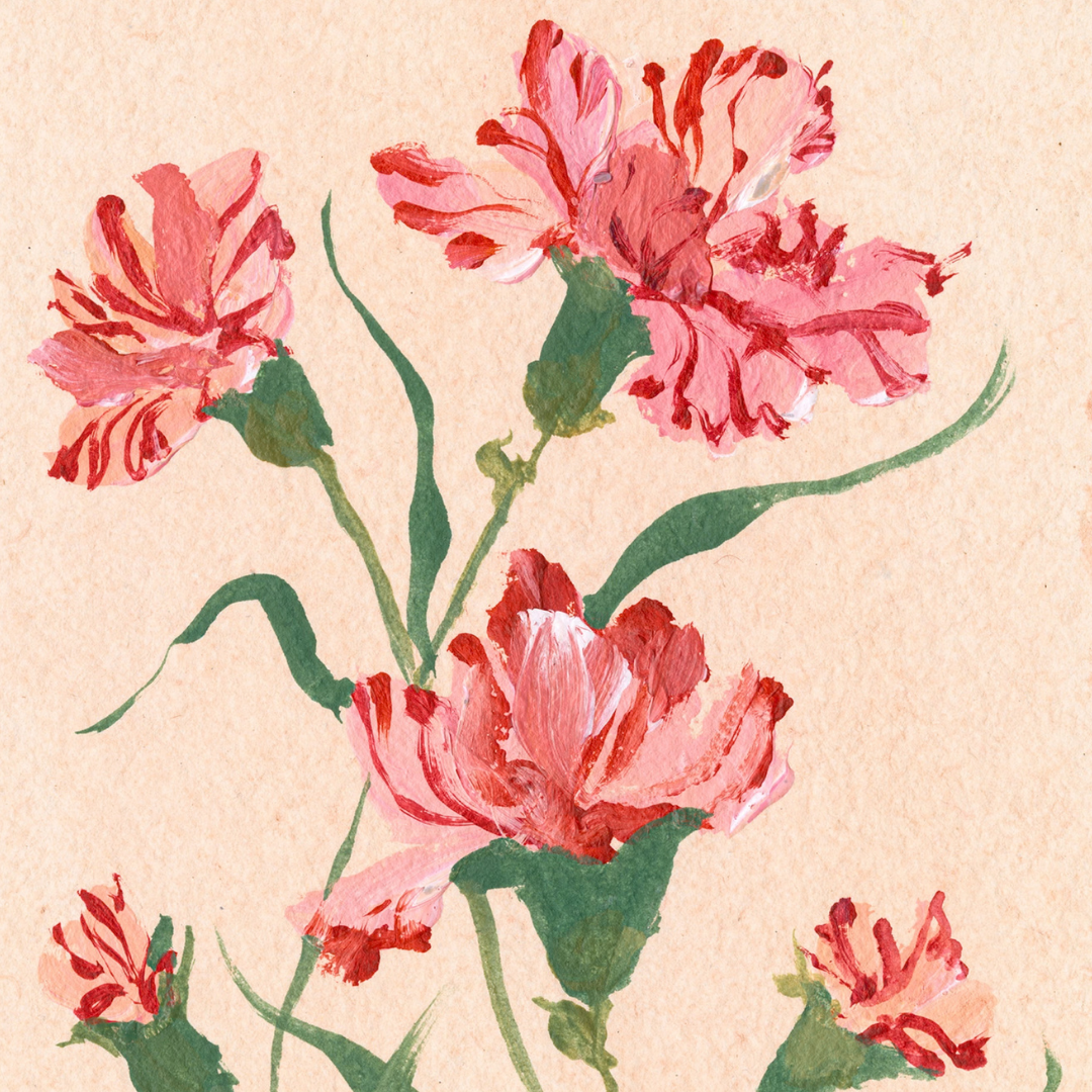 January's Carnation No. 1